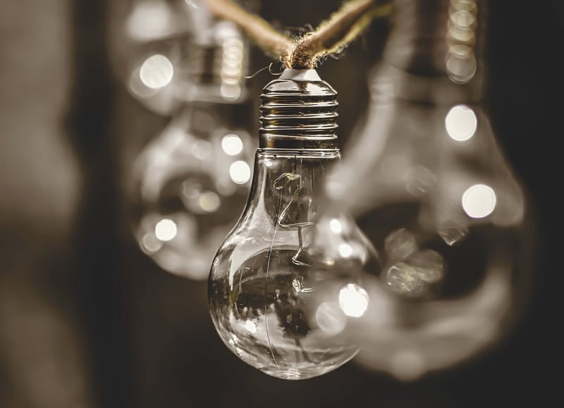 Sustainability consultant